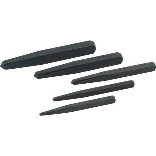 Straight Type Extractor Set, 5 Pieces Fastek