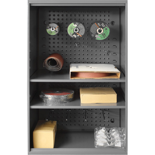 Armoire d'entreposage de produits abrasifs avec panneau perfor&eacute;, Acier, 19-7/8" x 14-1/4" x 32-3/4", Gris Fastek