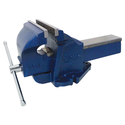 Ductile Iron Mechanics Bench Vise, 8" Jaw Width, 4" Throat Depth Fastek