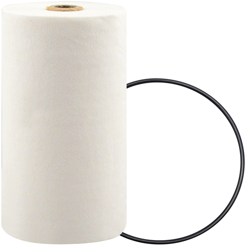 P7247 Spin-On Coolant Filter with BTE Formula Fastek