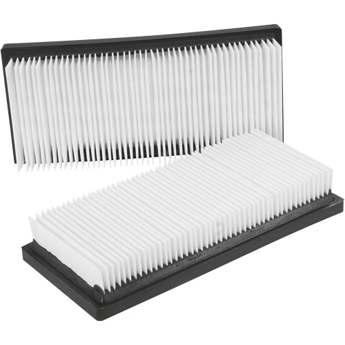 Main Flat Filters, Cartridge, Fits 12 US gal. Fastek