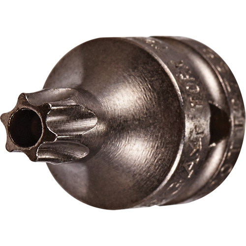 Embout &agrave; ins&eacute;rer, Torx inviolable, 8 x 3/4" lo, Prise 1/4" Fastek