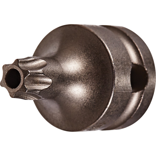 Embout &agrave; ins&eacute;rer, Torx inviolable, 25 x 1" lo, Prise 3/8" Fastek