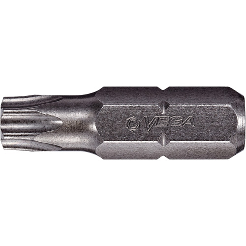 Tamper Insert Bit Fastek
