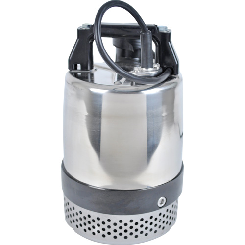 Pompe utilitaire s&eacute;rie FLS/FS, 1 CV, 80 gal./min, 115 V, 10 A Fastek