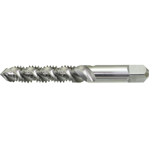 Taraud &agrave; main &agrave; cannelure spiral&eacute;e Drillco, Acier rapide, Filet 1/4"-20 Fastek