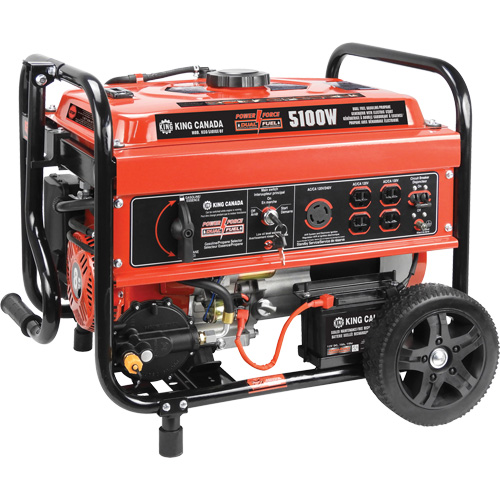 Gasoline/Propane Generator with Electric Start Fastek