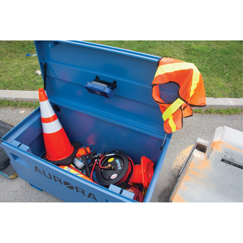 Jobsite Tool Box, 48" x 24" x 27-3/5", Steel, Blue Fastek