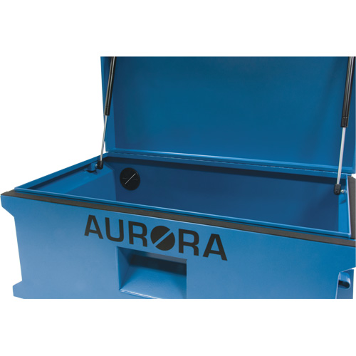 Coffre &agrave; outils de chantier, 33" x 20-3/10" x 18-3/10", Acier, Bleu Fastek