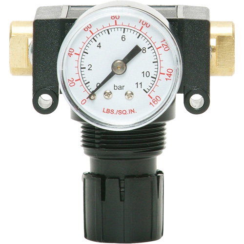 D&eacute;tendeur &agrave; piston en ac&eacute;tal MODULAIR 200, 1/4" NPT, PSI max. de 150 psi, Canalisation/Modulaire Fastek