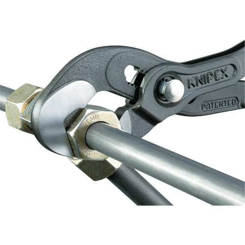 Pince Raptor, 10" Fastek