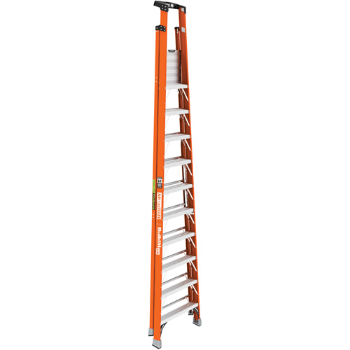 Safespace Platform Step Ladder, 10', 300 lbs. Cap. Fastek