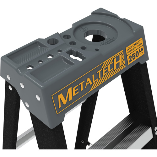 Step Ladder with Paint Tray, 6', Fibreglass, 250 lbs. Capacity, Type 1 Fastek