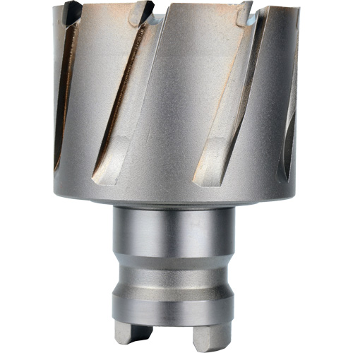 Fraise avec tenon &agrave; changement rapide Drive Hawg, Diam&egrave;tre de 2", Acier, Profondeur de la coupe de 1" Fastek