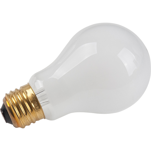 Economy Line Incandescent Lamps Fastek