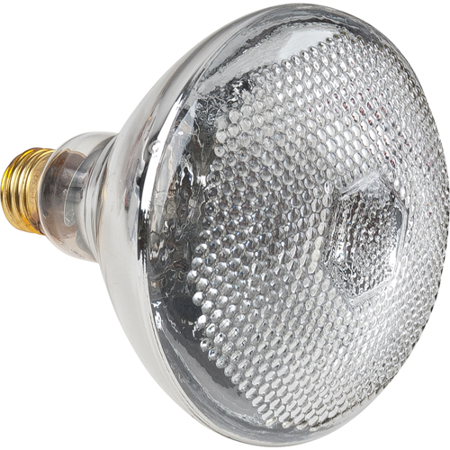 Economy Line Incandescent Lamps Fastek
