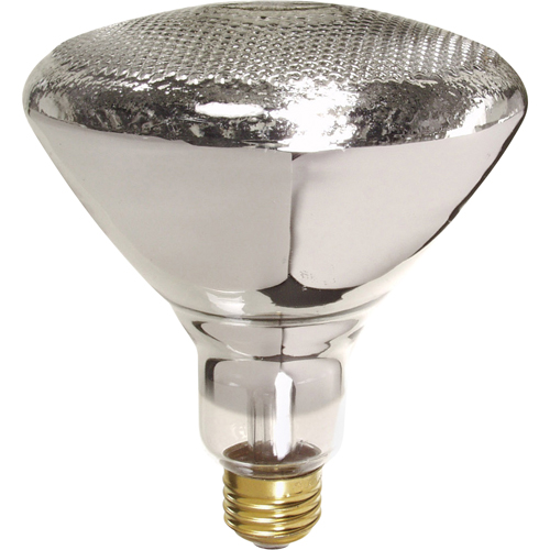 Economy Line Incandescent Lamps Fastek