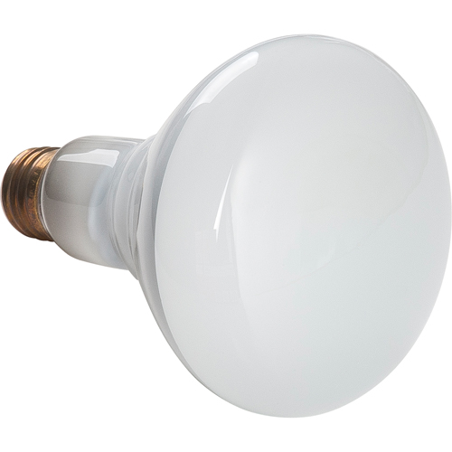 Economy Line Incandescent Lamps Fastek