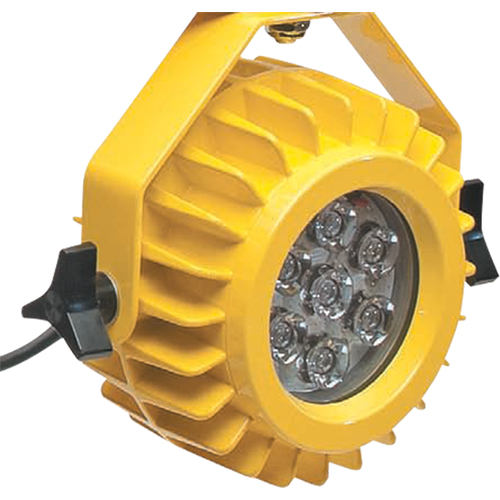 Heavy-Duty LED Dock Light - Head Only Fastek