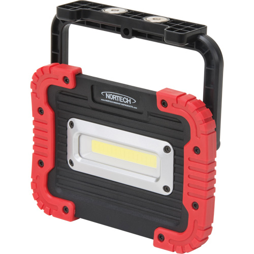 Portable Work Light, LED, 10 W, 1000 Lumens, Plastic Housing Fastek