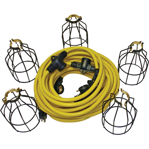 LED String Lights with Connector, 5 Lights, 50' L, Metal Housing Fastek