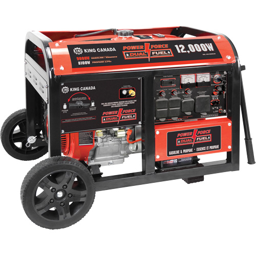 Gasoline/Propane Generator with Electric Start Fastek