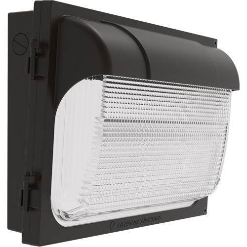 TWX Wall Luminaire, LED, 480 V, 9 W - 54 W, 14" H x 18" W x 5" D Fastek