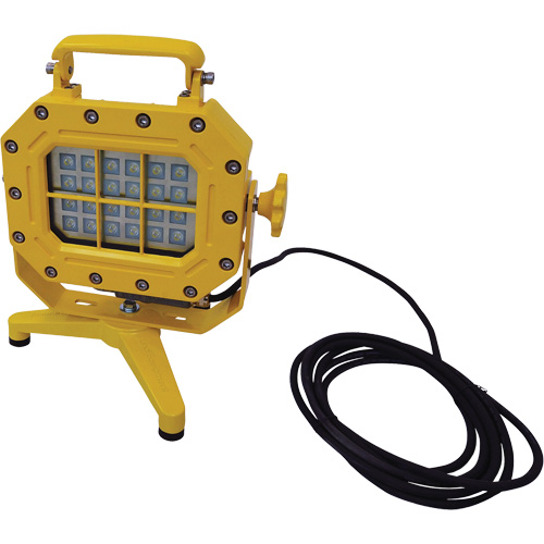 Explosion Proof Floodlight with Stand, LED, 40 W, 5600 Lumens, Aluminum Housing Fastek