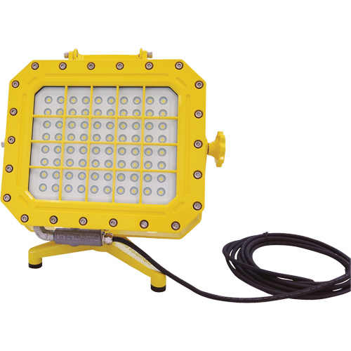 Explosion Proof Floodlight with Floor Stand, LED, 40 W, 5600 Lumens, Aluminum Housing Fastek