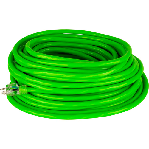 Industrial Extension Cord, All-Weather, SJTW, 10/3 AWG, 15 A, 100' Fastek