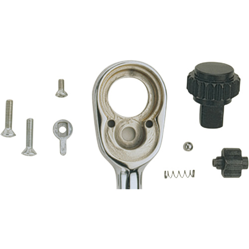 Ratchet Repair Kit Fastek