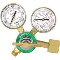 Light-Duty Single Stage Regulator, Oxygen, CGA540 Inlet Fastek