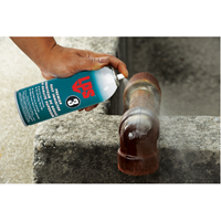 3&reg; Premier Rust Inhibitor, Aerosol Can Fastek