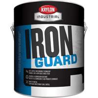 &eacute;mail industriel &agrave; base d'eau Iron Guard, 3,78 L, Gallon, Rouge Fastek