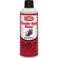 Throttle Body Kleen Air Intake Cleaner, Aerosol Can Fastek