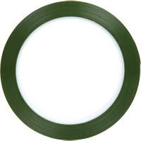 Polyester Tape, Polyester, 25.4 mm (1") W x 66 m (216') L, 1.9 mils Thick Fastek