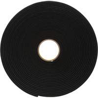 Ruban de mousse en vinyle 4504, 25,4 mm (1") la x 16,5 m (54') lo, 250 mils, Noir Fastek