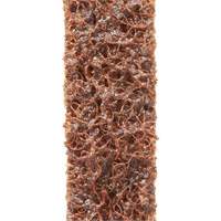 Scotch-Brite Surface Conditioning File Belts Fastek