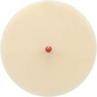 Disque Scotch-Brite 7502 pour retrait de colle et de bandes de moulage, 6" dia. Fastek
