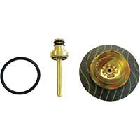 Filter/Regulator - Relieving Diaphragm & Valve Assembly Fastek