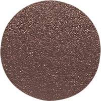 Wood Sanding Disc, 12" Dia., 60 Grit Fastek