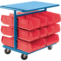 Bin Cart with Bins, Double-sided, 20 bins, 24" W x 38-1/2" D x 36-1/2" H Fastek
