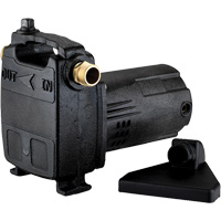 Portable Cast Iron Transfer Pump, 115 V, 950 GPH, 1/2 HP DC841 | Fastek