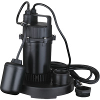 Thermoplastic Submersible Sump Pump, 2560 GPH, 115 V, 4.6 A, 1/3 HP DC843 | Fastek