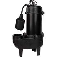 Cast Iron Sewage Pump, 120 V, 10 A, 6400 GPH, 3/4 HP DC849 | Fastek