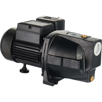 Dual Voltage Cast Iron Shallow Well Jet Pump, 115 V/230 V, 1100 GPH, 1 HP DC853 | Fastek