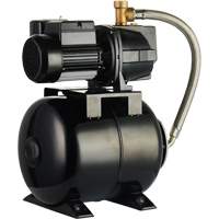 Shallow Well Jet Pump C/W Pressure Tank, 115 V/230 V, 790 GPH, 1/2 HP DC857 | Fastek
