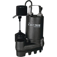 Cast Iron Submersible Sump Pump with Vertical Float Switch, 67 GPM, 33 V, 5 A, 1/3 HP DC863 | Fastek