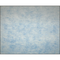 High-Arrestance Synthetic Media Filters, Pad, MERV 5, 24" W x 2" D x 12" H Fastek