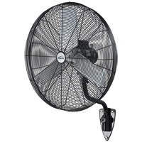 Oscillating Wall Fan, Heavy-Duty, 30" Dia., 3 Speeds EA667 | Fastek
